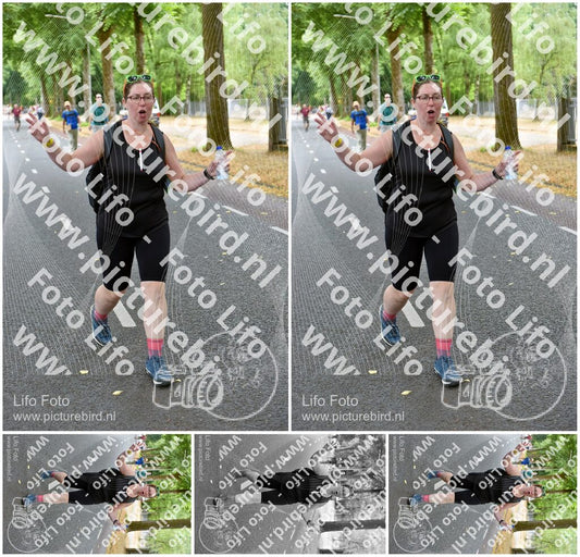 Evenement foto: Nijmeegse Vierdaagse 850