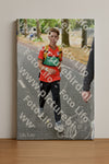 Evenement foto: Nijmeegse Vierdaagse 850