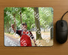 Evenement foto: Nijmeegse Vierdaagse 850