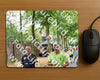 Evenement foto: Nijmeegse Vierdaagse 850