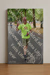 Evenement foto: Nijmeegse Vierdaagse 850