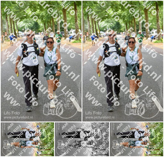 Evenement foto: Nijmeegse Vierdaagse 850