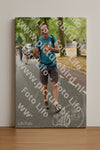 Evenement foto: Nijmeegse Vierdaagse 850