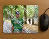 Evenement foto: Nijmeegse Vierdaagse 850