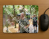 Evenement foto: Nijmeegse Vierdaagse 850