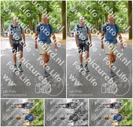 Evenement foto: Nijmeegse Vierdaagse 849