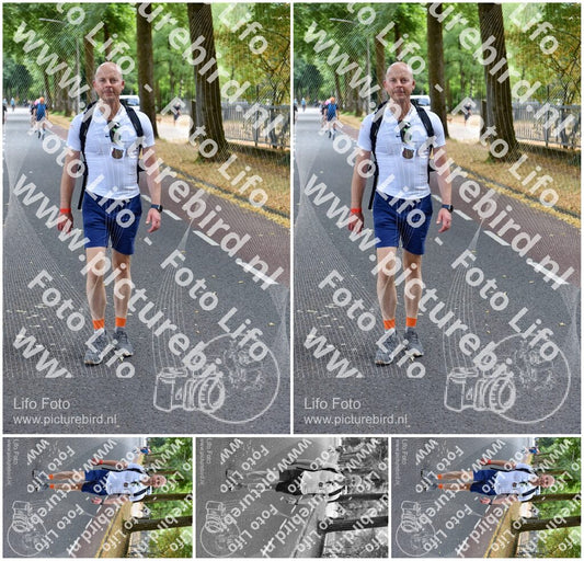 Evenement foto: Nijmeegse Vierdaagse 849