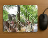 Evenement foto: Nijmeegse Vierdaagse 849