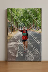 Evenement foto: Nijmeegse Vierdaagse 849