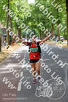 Evenement foto: Nijmeegse Vierdaagse 849
