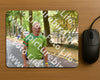 Evenement foto: Nijmeegse Vierdaagse 849