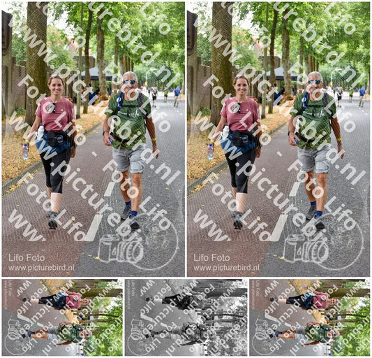 Evenement foto: Nijmeegse Vierdaagse 849