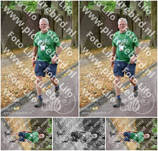 Evenement foto: Nijmeegse Vierdaagse 849