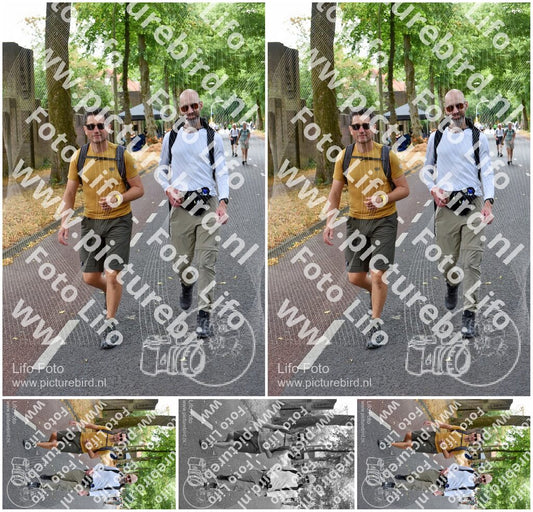 Evenement foto: Nijmeegse Vierdaagse 849