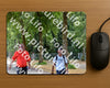Evenement foto: Nijmeegse Vierdaagse 848