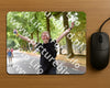 Evenement foto: Nijmeegse Vierdaagse 848