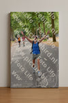 Evenement foto: Nijmeegse Vierdaagse 848