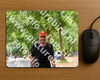 Evenement foto: Nijmeegse Vierdaagse 848