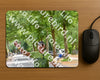 Evenement foto: Nijmeegse Vierdaagse 848