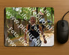 Evenement foto: Nijmeegse Vierdaagse 848