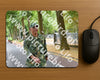 Evenement foto: Nijmeegse Vierdaagse 848