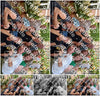 Evenement foto: Nijmeegse Vierdaagse 783