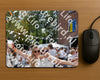 Evenement foto: Nijmeegse Vierdaagse 783