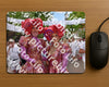 Evenement foto: Nijmeegse Vierdaagse 783