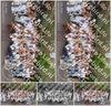 Evenement foto: Nijmeegse Vierdaagse 783