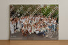 Evenement foto: Nijmeegse Vierdaagse 783