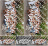 Evenement foto: Nijmeegse Vierdaagse 783
