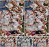 Evenement foto: Nijmeegse Vierdaagse 783