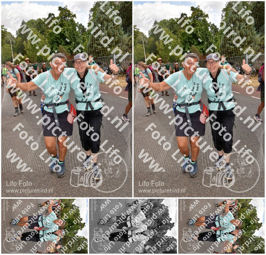 Evenement foto: Nijmeegse Vierdaagse 782