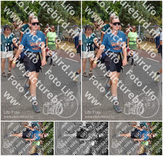 Evenement foto: Nijmeegse Vierdaagse 782