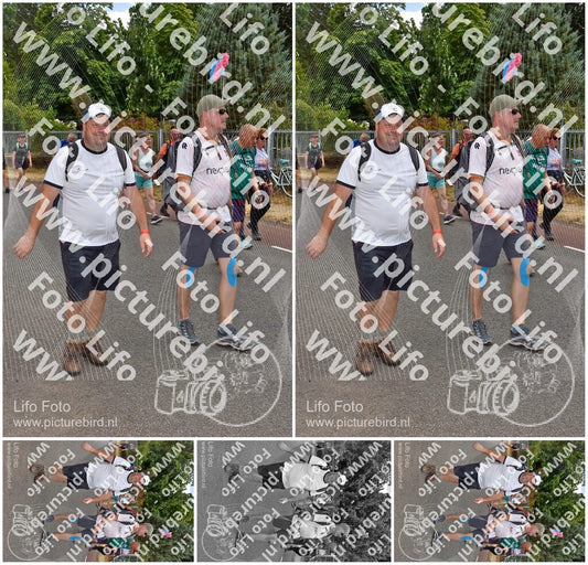 Evenement foto: Nijmeegse Vierdaagse 782