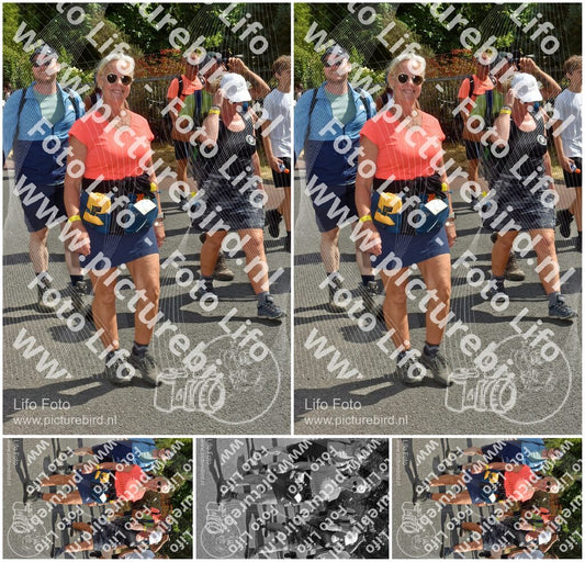 Evenement foto: Nijmeegse Vierdaagse 782