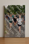 Evenement foto: Nijmeegse Vierdaagse 782