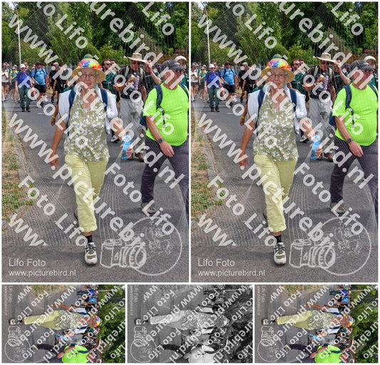 Evenement foto: Nijmeegse Vierdaagse 782