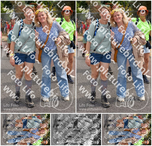 Evenement foto: Nijmeegse Vierdaagse 782