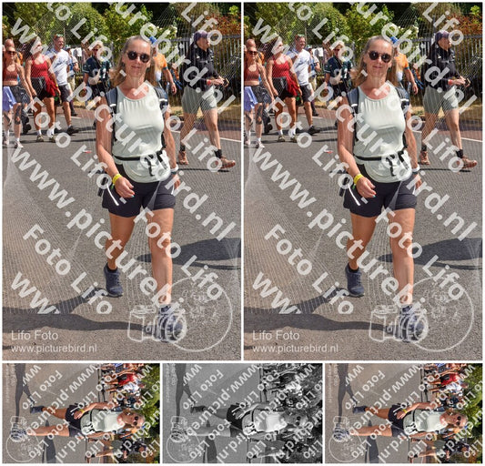 Evenement foto: Nijmeegse Vierdaagse 782