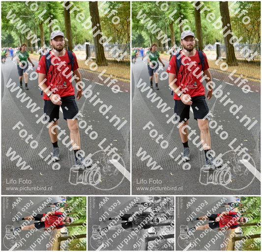 Evenement foto: Nijmeegse Vierdaagse 781