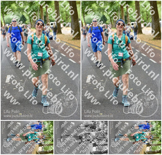 Evenement foto: Nijmeegse Vierdaagse 781