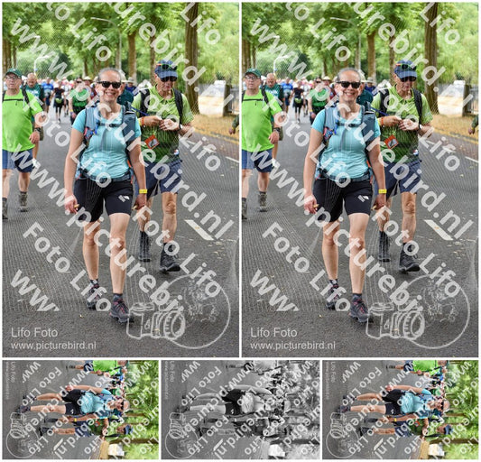Evenement foto: Nijmeegse Vierdaagse 781