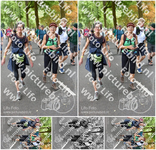 Evenement foto: Nijmeegse Vierdaagse 781