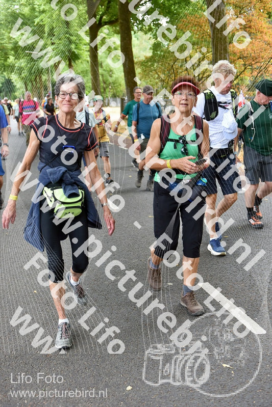 Evenement foto: Nijmeegse Vierdaagse 781