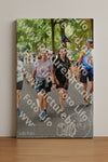 Evenement foto: Nijmeegse Vierdaagse 781
