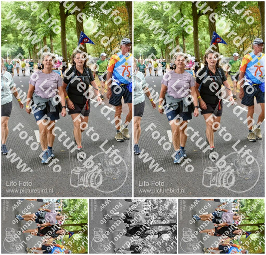 Evenement foto: Nijmeegse Vierdaagse 781
