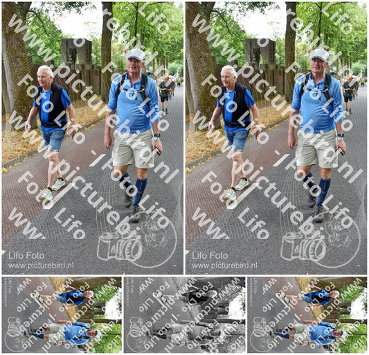 Evenement foto: Nijmeegse Vierdaagse 781