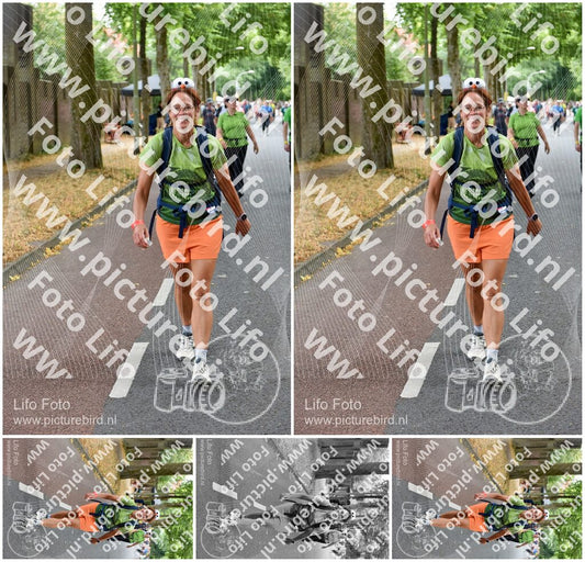 Evenement foto: Nijmeegse Vierdaagse 781