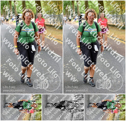 Evenement foto: Nijmeegse Vierdaagse 781